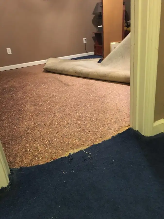 Carpet pad removal revealing water damage during Water Mitigation Services in Beeville